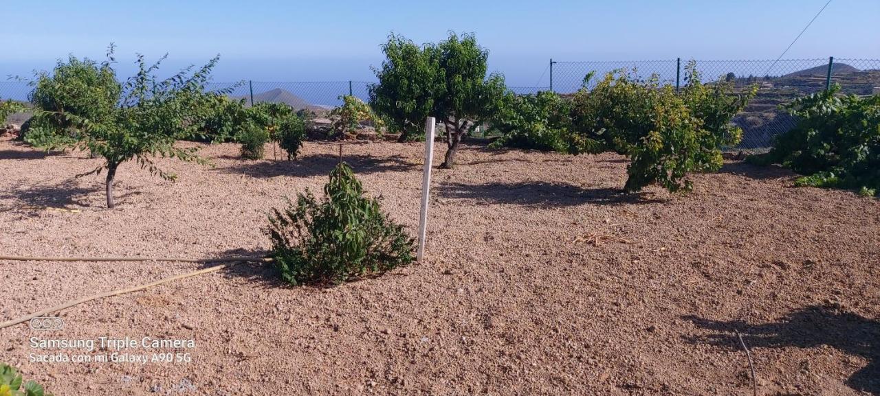 فيلا Casa Luis Pico غراناديا دي أبونا المظهر الخارجي الصورة